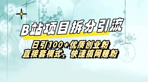 【8967】B站项目拆分引，快速日引100+优质创业粉