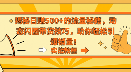 【9064】揭秘日赚500+的流量秘籍，动态闪图带货技巧，助你轻松引爆销量！