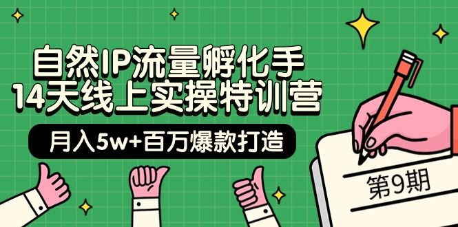 【9745】自然IP流量孵化手 14天线上实操特训营【9】月入5w+百万爆款打造