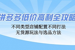 【第11703期】拼多多低价高利全攻略：不同类型店铺配置不同打法，无货源玩法与选品方法