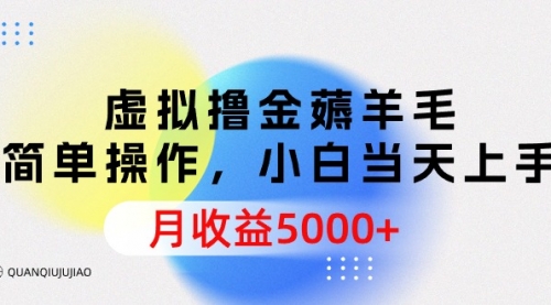 【9761】虚拟撸金薅羊毛，简单操作，小白当天上手，月收益5000+