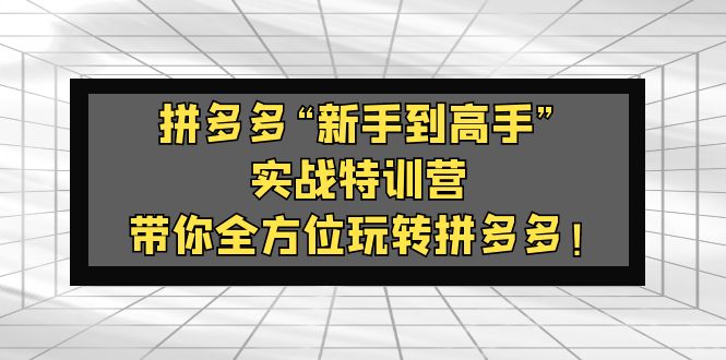 【5217】拼多多“新手到高手”实战特训营：带你全方位玩转拼多多