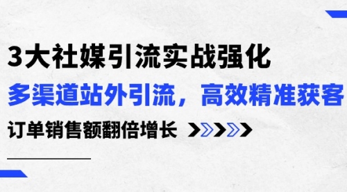 【10290】3大社媒引流实操强化，多渠道站外引流/高效精准获客/订单销售额翻倍增长