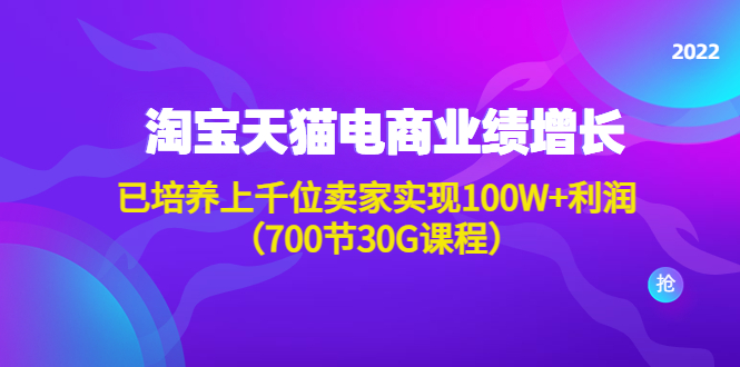 【4575】淘系天猫电商业绩增长：已培养上千位卖家实现100W+利润（700节30G课程）