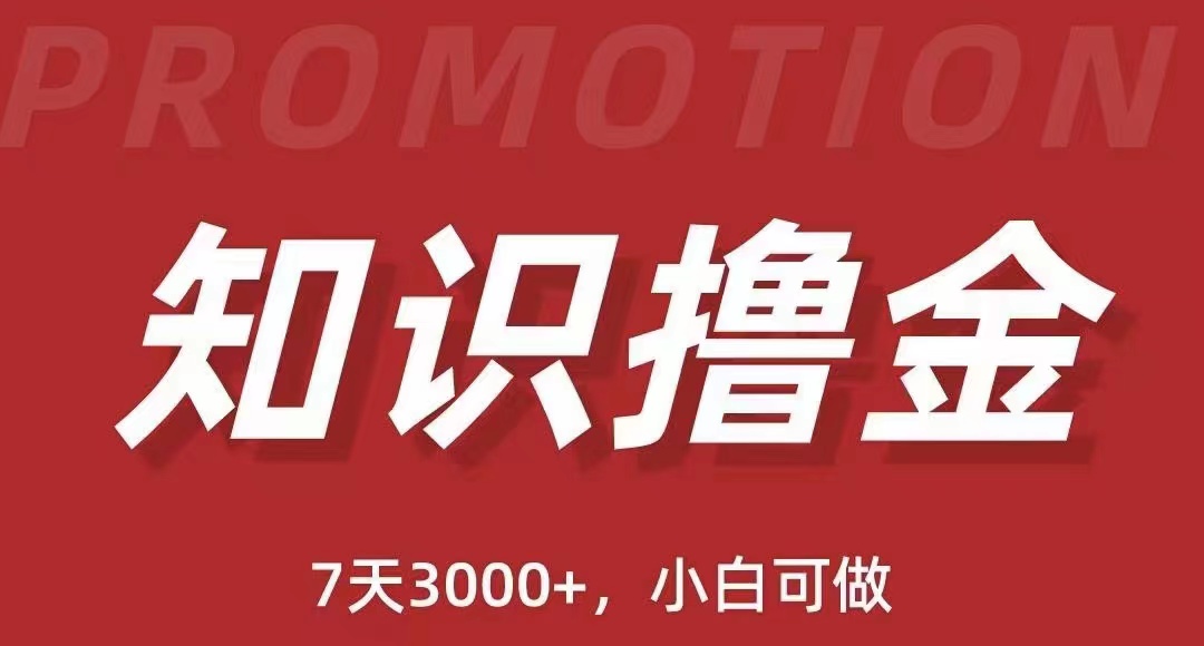 【5602】抖音知识撸金项目：简单粗暴日入1000+执行力强当天见收益(教程+资料)