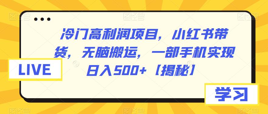 【6775】冷门高利润项目，小红书带货，无脑搬运，一部手机实现日入500+【揭秘】