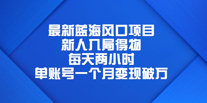 【6549】最新蓝海风口项目，新人入局得物，每天两小时，单账号一个月变现破万