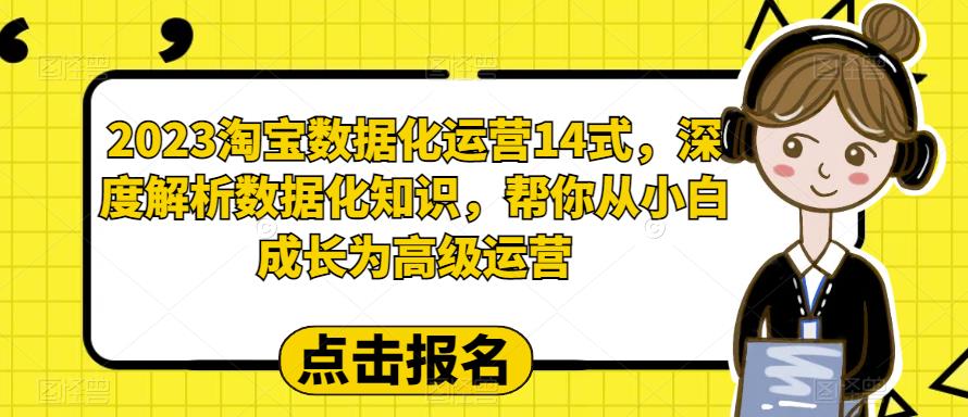 【6499】2023淘宝数据化-运营 14式，深度解析数据化知识，帮你从小白成长为高级运营