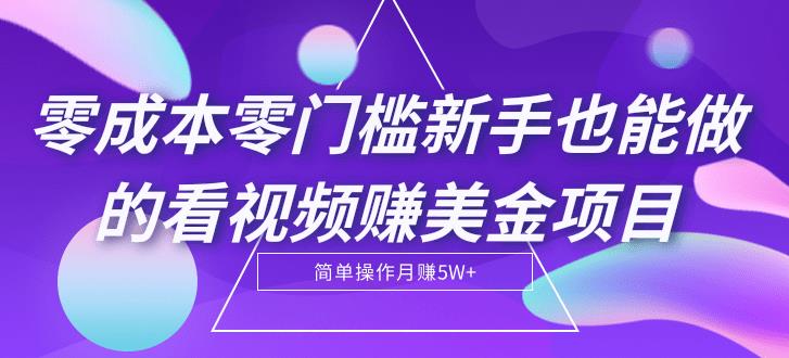 【2129】零成本零门槛新手也能做的看视频赚美金项目，轻松月赚5W+【视频教程】