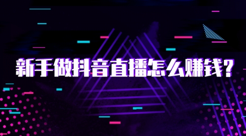 【2049】抖音直播电商实战训练营：4 天从小白到直播操盘大师，单 场直播破百万