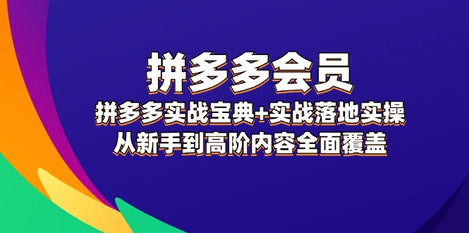 【第11258期】拼多多实战宝典+实战落地实操，从新手到高阶内容全面覆盖